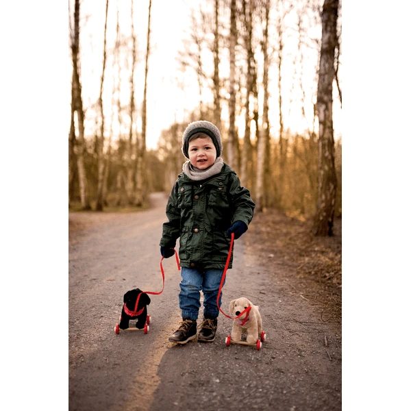 COPPENRATH Labrador Luzie Op Houten Rollen - Grappige Dierenparade 4 COPPENRATH Labrador Luzie Op Houten Rollen - Grappige Dierenparade - Afbeelding 2