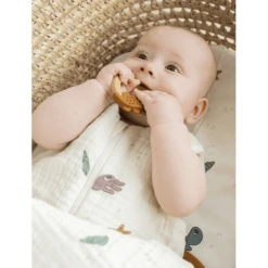 Done By Deer ™ 2-pack Herten Friends Mosterdgeel/roze -EXIT TOYS || Steiff || fehn Verkoopwinkel done by deer 2 pack herten friends mosterdgeel roze a332296 1