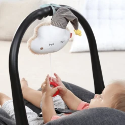 Fehn Muziekdoos Wolk Met Pet -EXIT TOYS || Steiff || fehn Verkoopwinkel fehn muziekdoos wolk met pet a246927 2