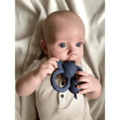 Filibabba Bijtring Felix The Fly Natuurlijk Rubber - Muddly Blue -EXIT TOYS || Steiff || fehn Verkoopwinkel filibabba bijtring felix the fly natuurlijk rubber muddly blue a333556 3