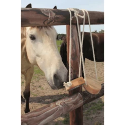 Helga Kreft Shaddy Hoeven -EXIT TOYS || Steiff || fehn Verkoopwinkel helga kreft shaddy hoeven a292651 1