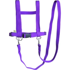 Helga Kreft Zügelmatz Paardenspeellijn, Paars -EXIT TOYS || Steiff || fehn Verkoopwinkel helga kreft zuegelmatz paardenspeellijn paars a334333 2