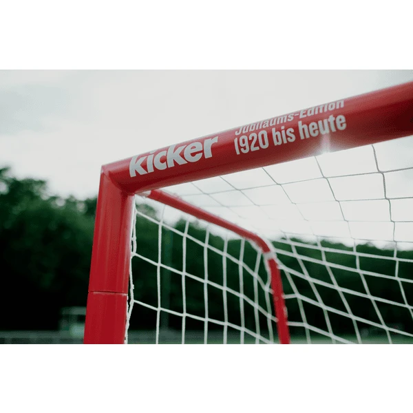 HUDORA ® Voetbaldoelpunt Expert 300 - Kicker-Editie 5 HUDORA ® Voetbaldoelpunt Expert 300 - Kicker-Editie - Image 3