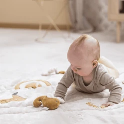 Nattou Charlie Kruipdeken Rechthoekig 80 X 100cm -EXIT TOYS || Steiff || fehn Verkoopwinkel nattou charlie kruipdeken rechthoekig 80 x 100cm a388950 2