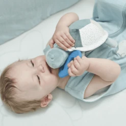 Nattou Lapidou Activeert Child Pad Groen -EXIT TOYS || Steiff || fehn Verkoopwinkel nattou lapidou activeert child pad groen a389670 1