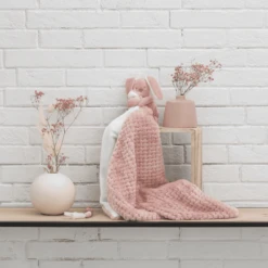 Nattou Lapidou Knuffeldeken Oud Roze Dennen Apple -EXIT TOYS || Steiff || fehn Verkoopwinkel nattou lapidou knuffeldeken oud roze dennen apple a389968 1