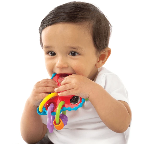 Playgro Rotonde Rammelaar 5 Playgro Rotonde Rammelaar - Image 3