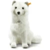 Steiff Arkin Arctic Fox, Wit -EXIT TOYS || Steiff || fehn Verkoopwinkel steiff arkin arctic fox wit a314249