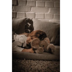 Steiff Olifant Trampili Grijs Liggend, 42 Cm -EXIT TOYS || Steiff || fehn Verkoopwinkel steiff olifant trampili grijs liggend 42 cm a351832 2