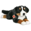 Teddy HERMANN Berner Berghond Liggend Op 60 Cm Hoogte -EXIT TOYS || Steiff || fehn Verkoopwinkel teddy hermann berner berghond liggend op 60 cm hoogte a251481