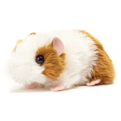 Teddy HERMANN Cavia Goudkleurig Wit, 18 Cm -EXIT TOYS || Steiff || fehn Verkoopwinkel teddy hermann cavia goudkleurig wit 18 cm a247164 2