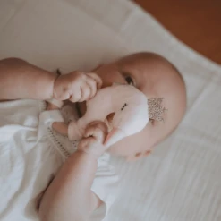 Tryco Pluche Speen Met Rammelaar - Swan Ivy -EXIT TOYS || Steiff || fehn Verkoopwinkel tryco pluche speen met rammelaar swan ivy a394204 1